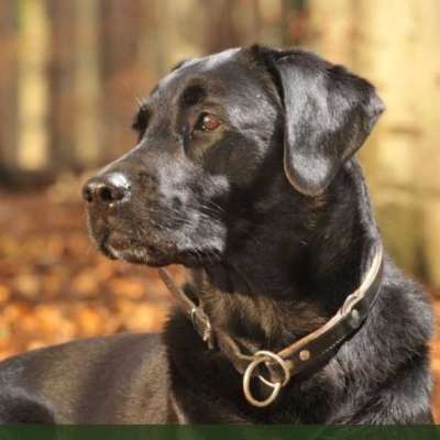 Computers Profile Picture