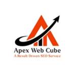 Apex Web Cube Profile Picture