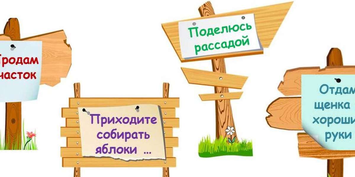 Article Picture