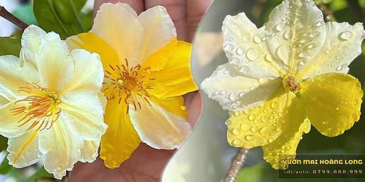 Sắc xuân rộn ràng
