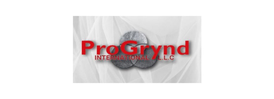Progrynd LLC Cover Image