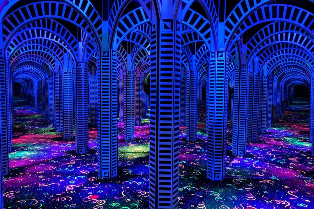 Magic Mirror Maze : Why Adults Love It More Than Kids