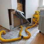 Fire Damage Restoration Elizabeth Profile Picture