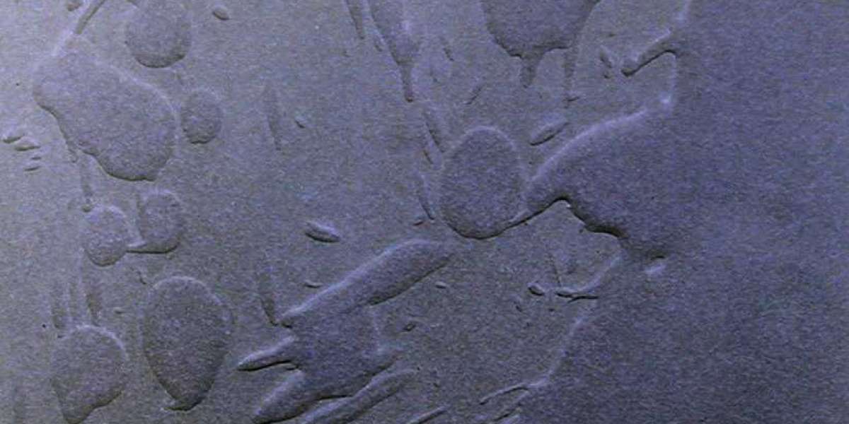 Article Picture