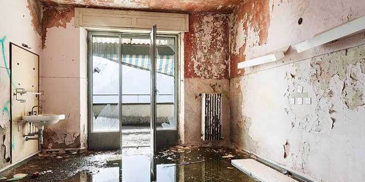 Restore Your Home with Expert Water Damage Solutions