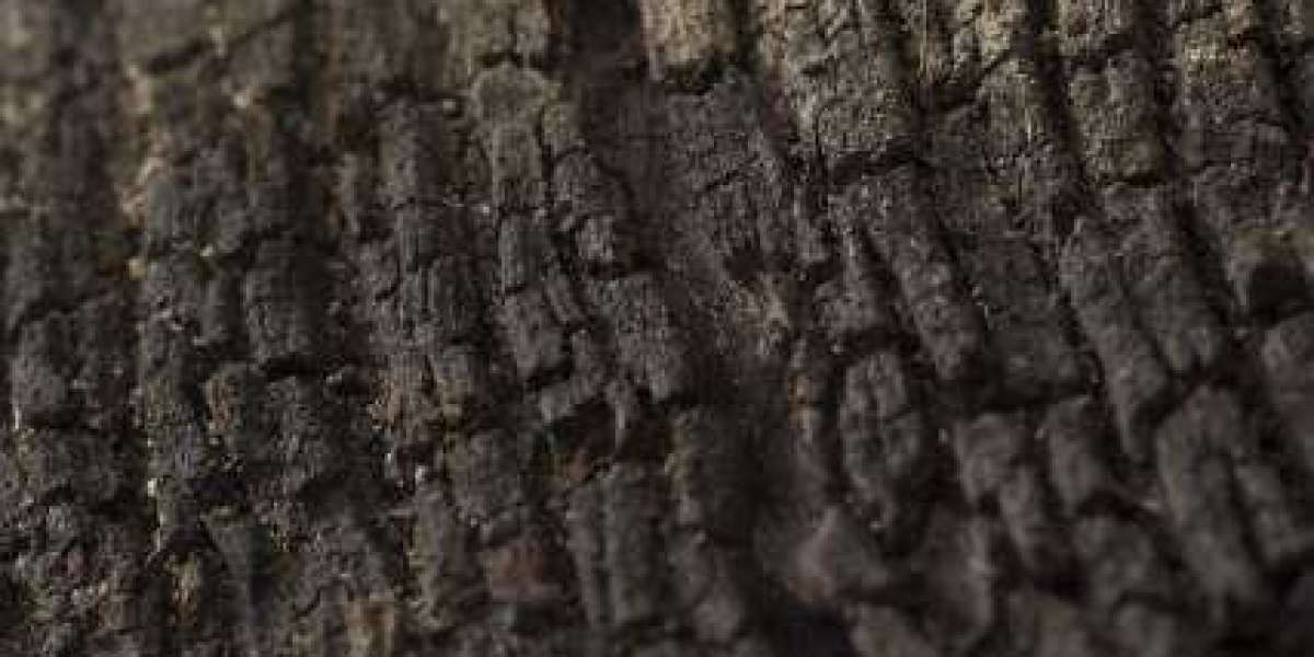 Article Picture