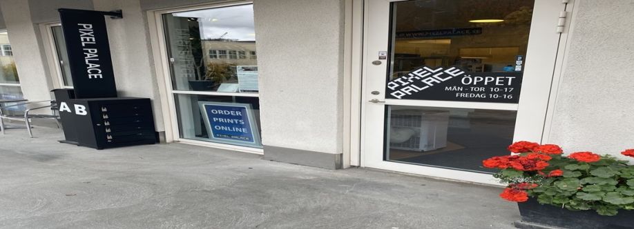 Pixelpalace Cover Image