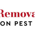 Bees Removal Melbourne Profile Picture