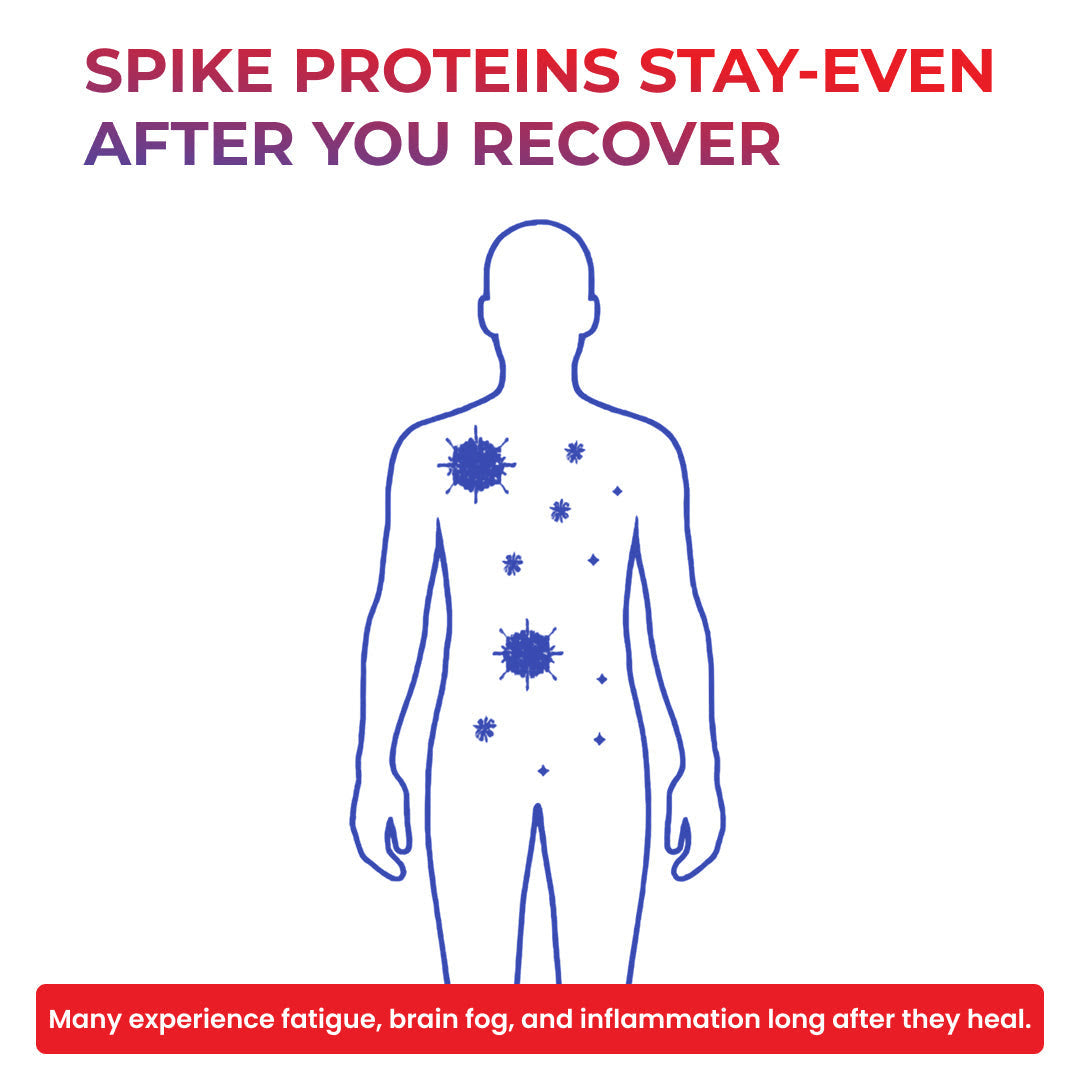 Spike Protein Detox – How It Works & What to Expect
