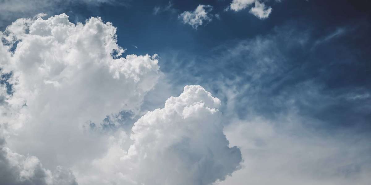 Discover the Ultimate Protection: Why PerfBags Soft Rifle Cases Are a Game Changer!