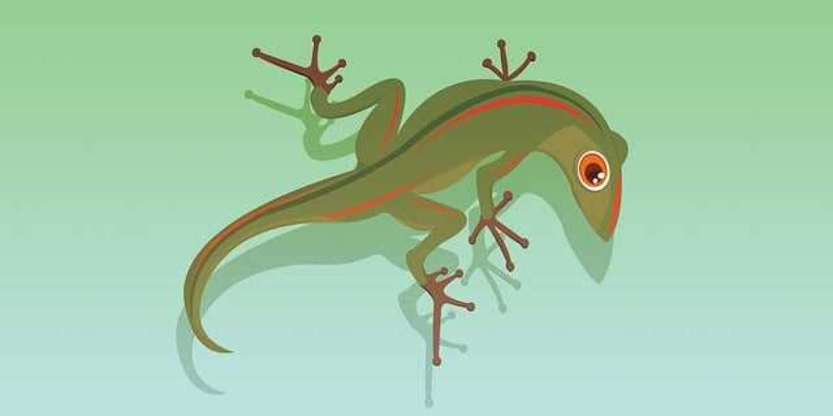 Neden Ofis Escort Bayanlar Tercih Edilmeli?