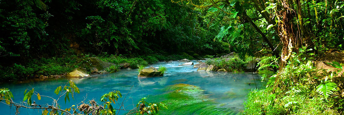 Explore Ecotourism in Costa Rica's Breathtaking Wilderness