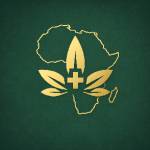 Afrochidi Botanicals Profile Picture