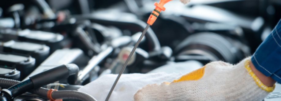 Bear Car Care Cover Image