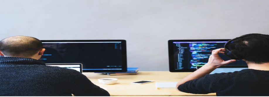 Data Facilitator Cover Image