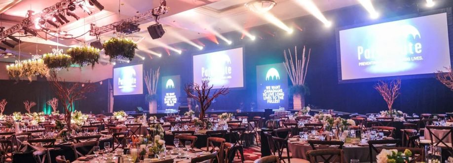 Luminary Networks LTD Cover Image