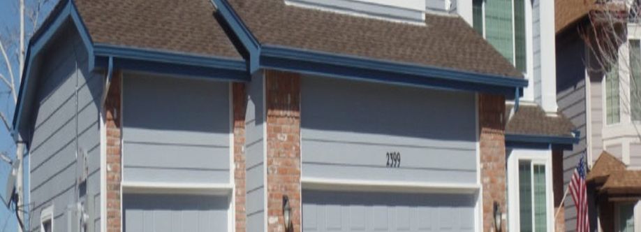 Pro Classic Painting Cover Image