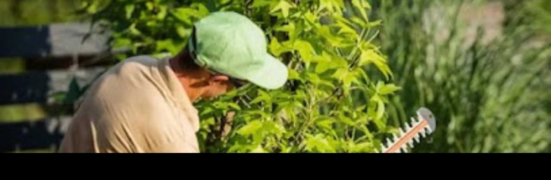 Alpha Arborcare LLC Cover Image