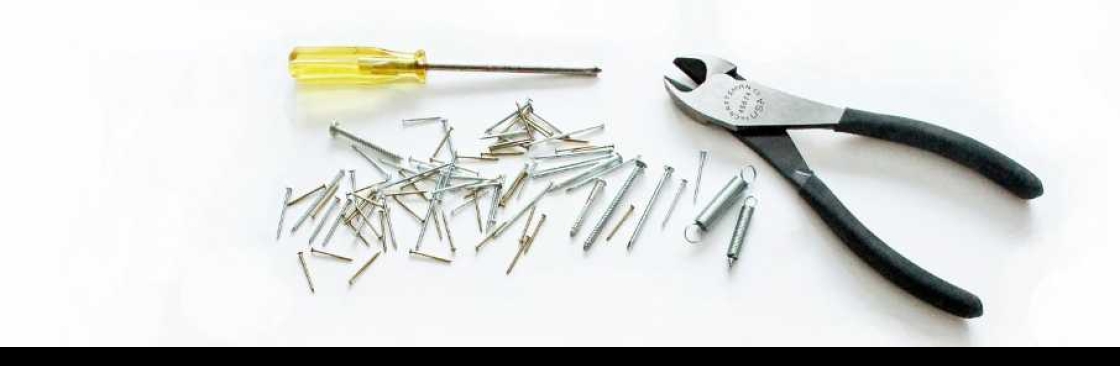 Repair Master Cover Image