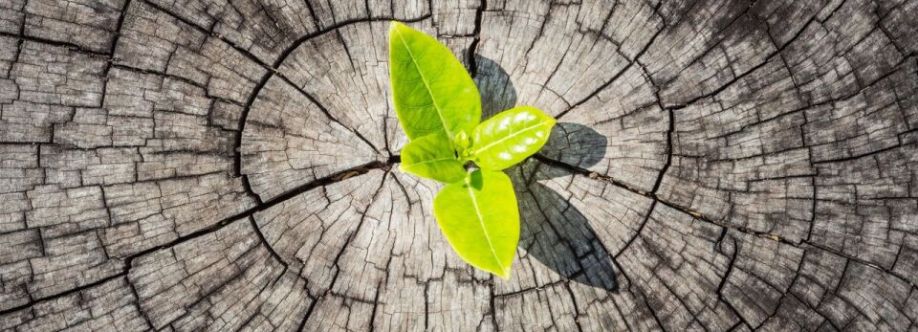 Made for Relationship Cover Image