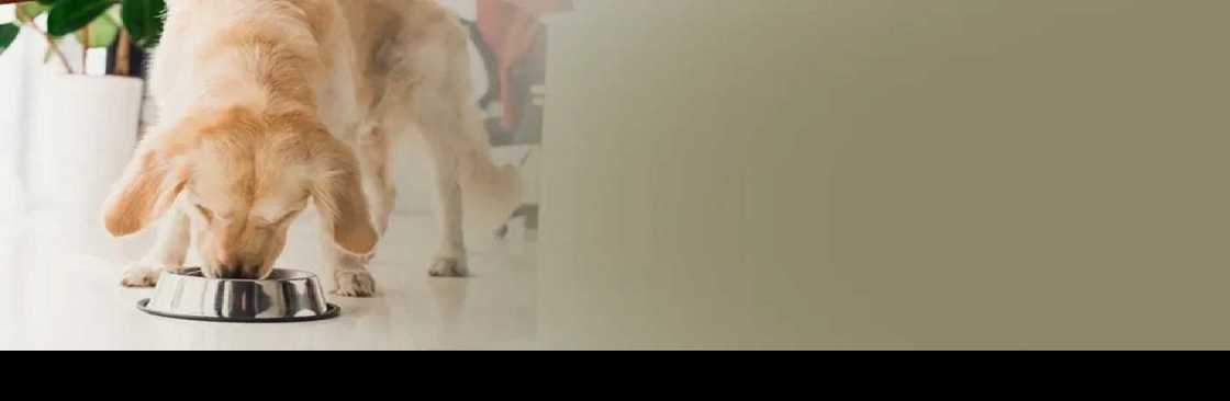 rainsoftcarolinas Cover Image