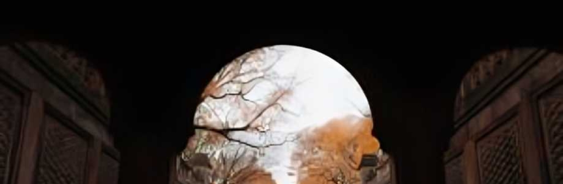 Surya Garigipati Photography and Films Cover Image