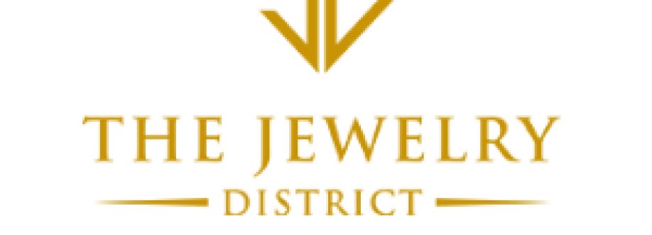 THE JEWELRY DISTRICT Cover Image