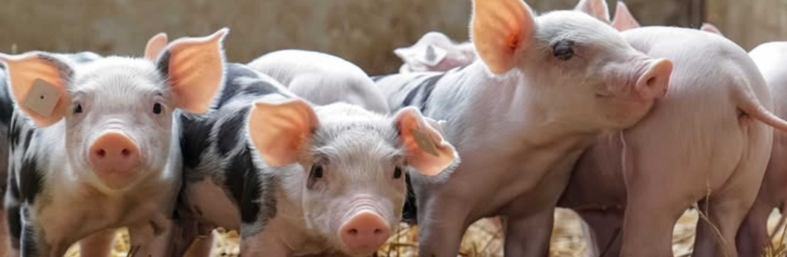 7 Hill Farms Cover Image