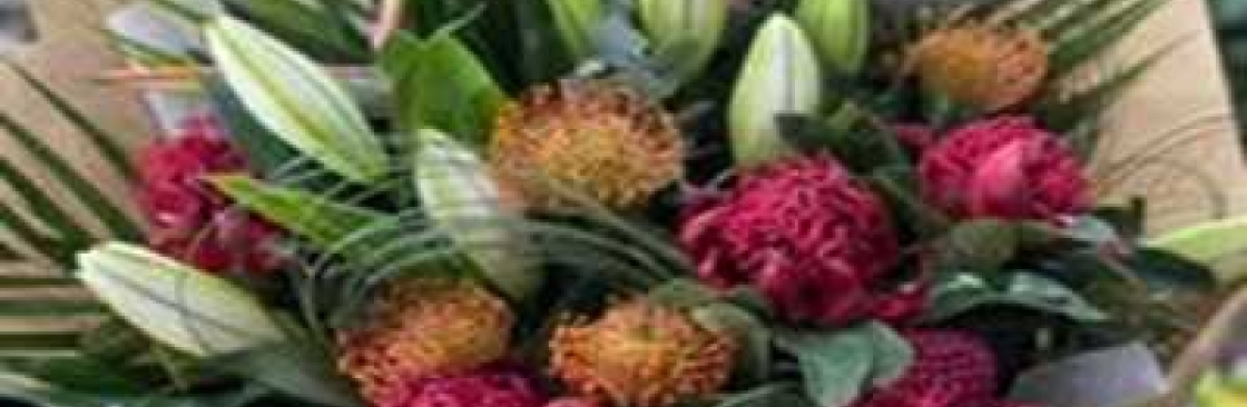 Mathews Camroon Cover Image