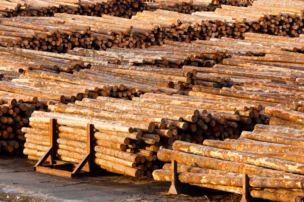 Benefits of Using Pressure Treated Lumber for Projects