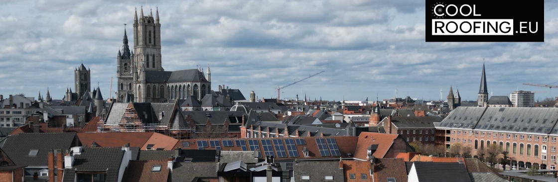 Cool Roofing Cover Image