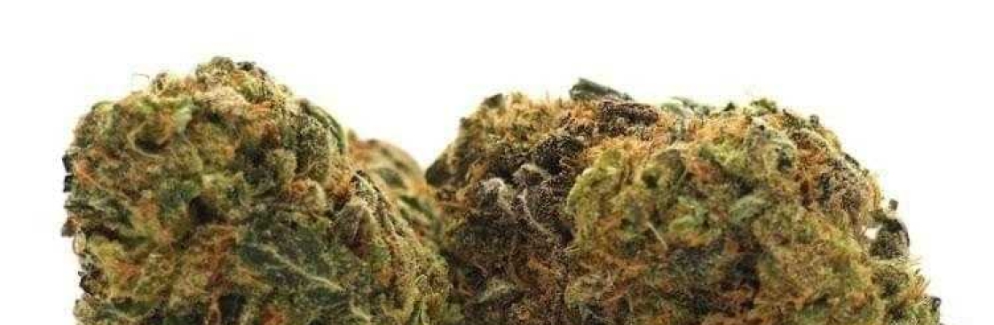 Green Therapy Cover Image