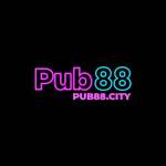 Pub88 CITY Profile Picture