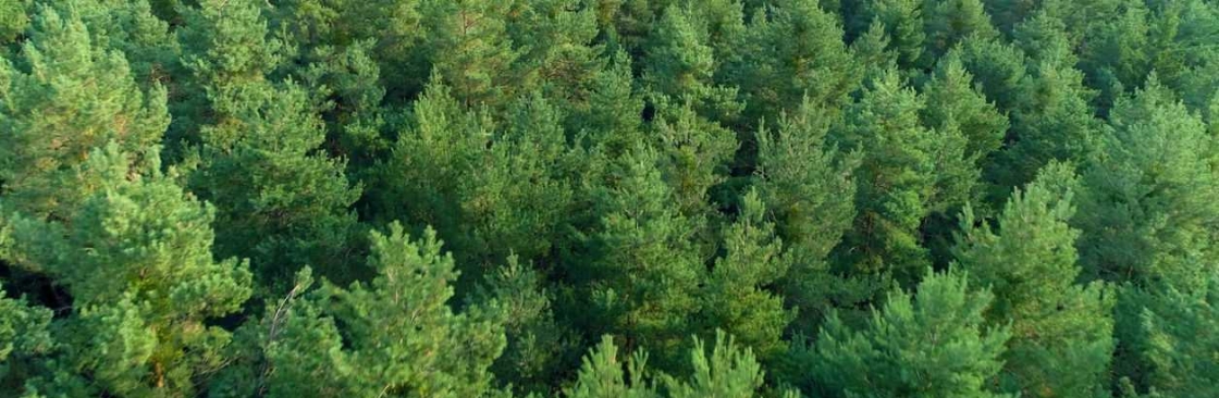 Broomfield Coaching Cover Image