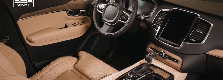 PRO vinyl Cover Image