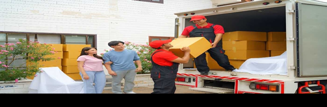 Removalist Auction Cover Image