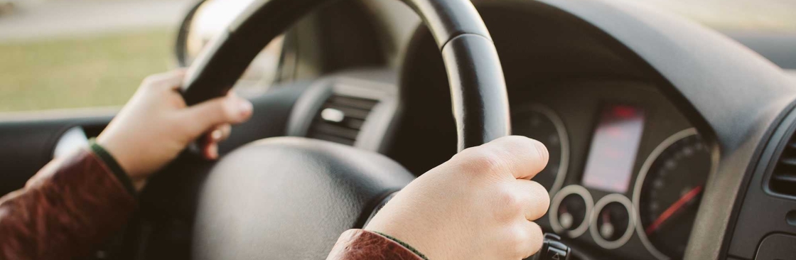 Green Light Drivers Ed and DUI School LLC Cover Image