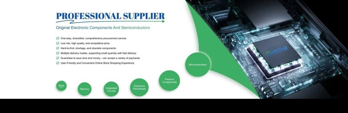 Bettlink Electronic Limited Cover Image