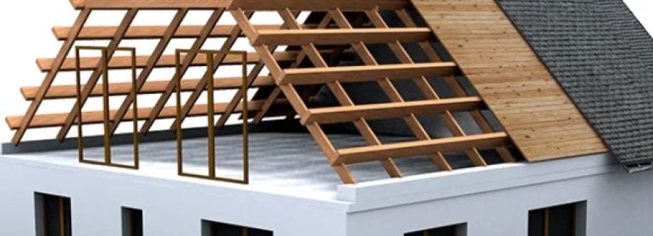 SBBSWindowsAnd Roofs Cover Image