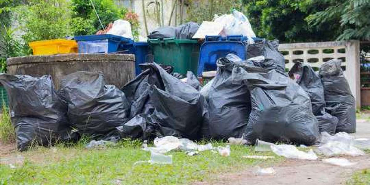 Article Picture