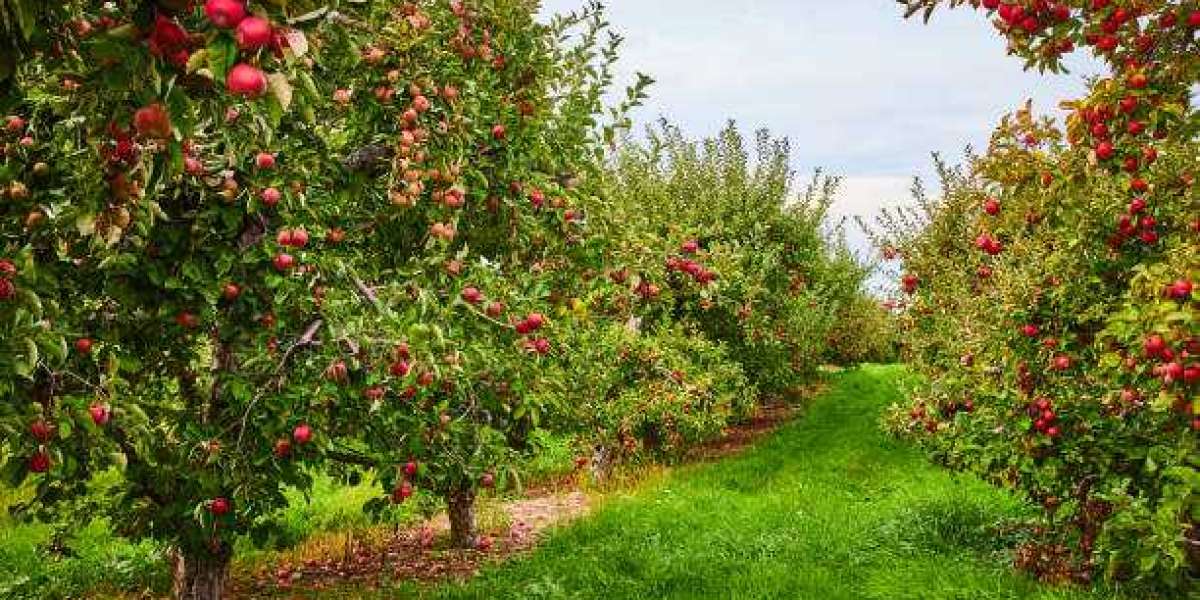 Article Picture