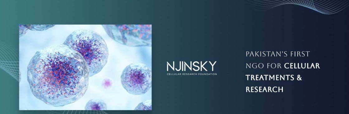 Njinsky Foundation Cover Image