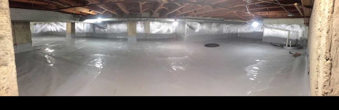 Crawl Spaces Cover Image