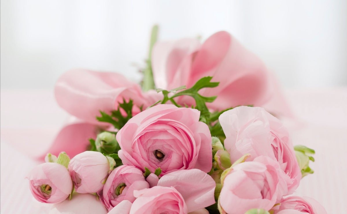 Flower Delivery To Stanford Hospital At 500 Pasteur Drive - EFB