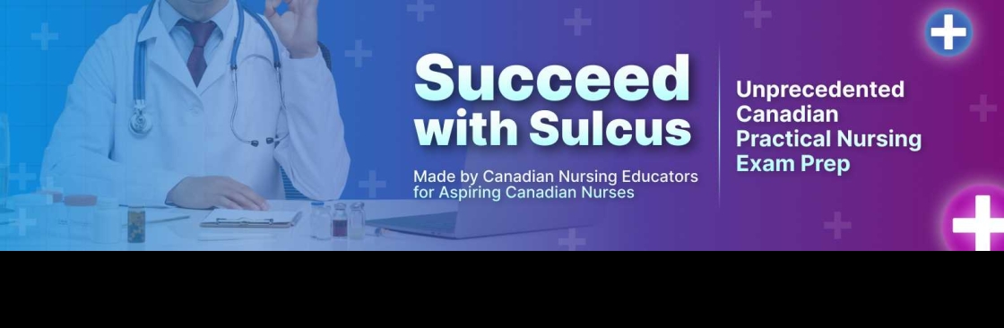 Sulcus Learning Cover Image