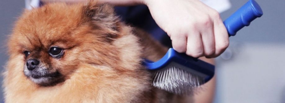 Doggy Day Care Brisbane Cover Image