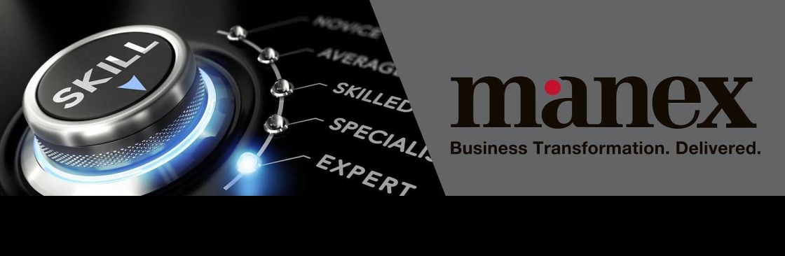 Manex Consulting Cover Image