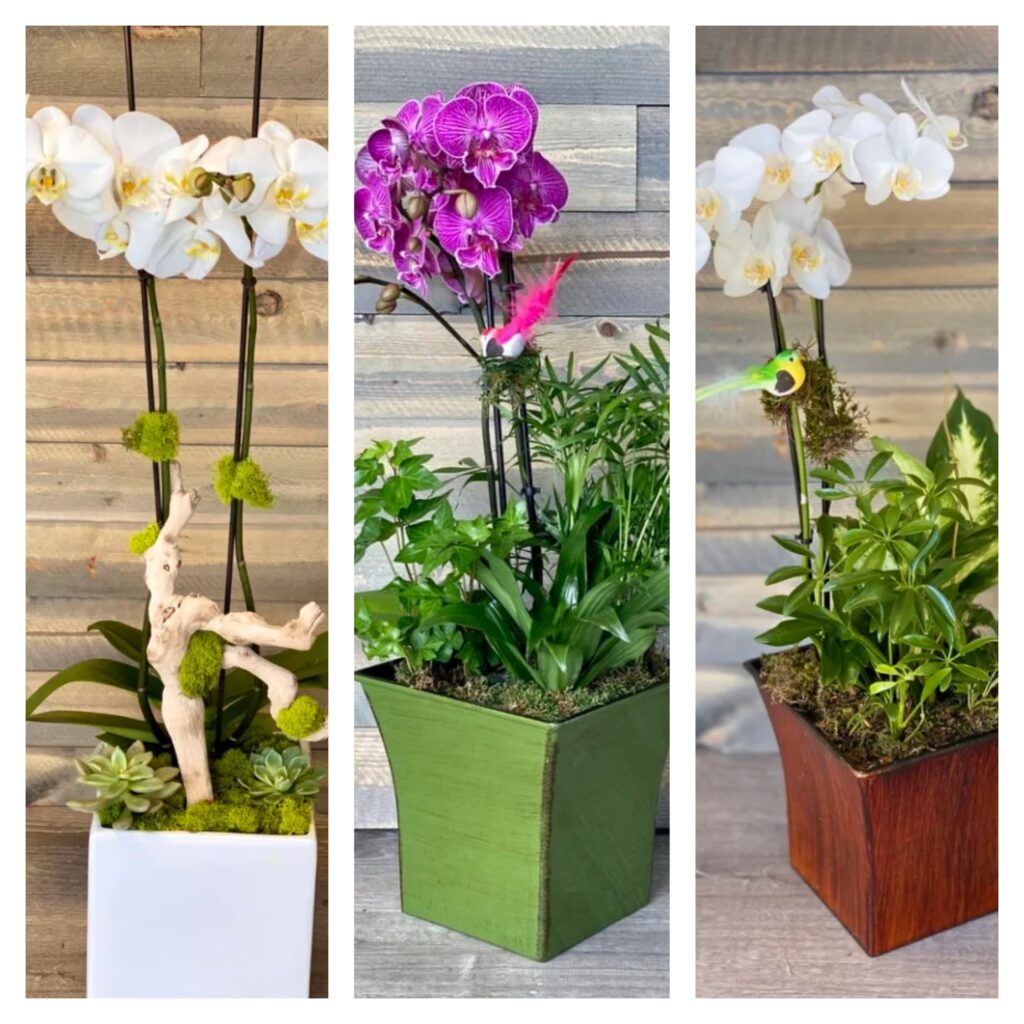 Floral Gifts That Bring Joy to Patients and Families - Smart SEO Article
