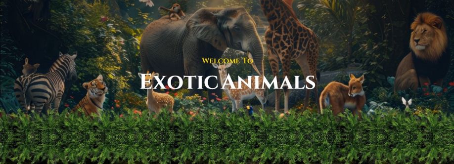 Exotic Animals Miami Cover Image