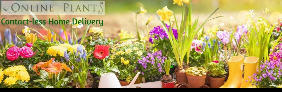 Online Plants Cover Image